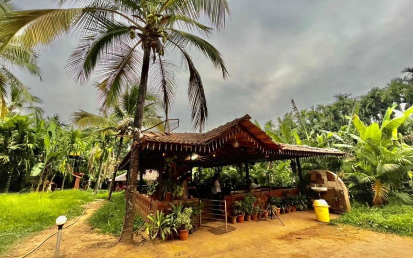 Pepper Paradise By Stayapart Dandeli Exterior foto